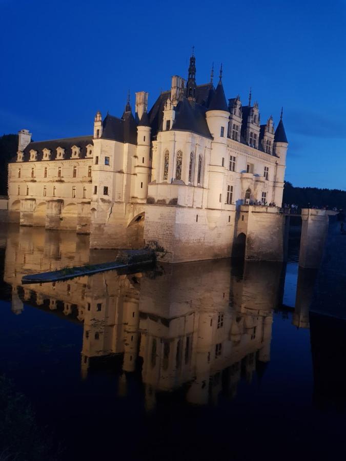18 Chateaux Et Beauval Sur Un Rayon De 30 Km Сен-Жорж-сюр-Шер Экстерьер фото